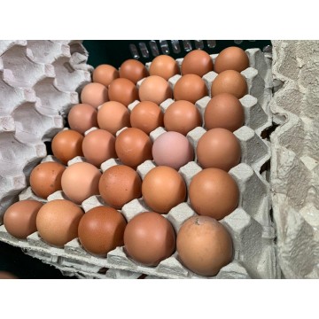 Eggs 30's