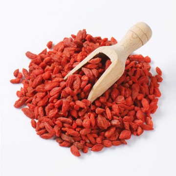 Wolfberry (Kay Chi) Wolfberry (Kay Chi)