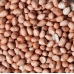 Dried Goods